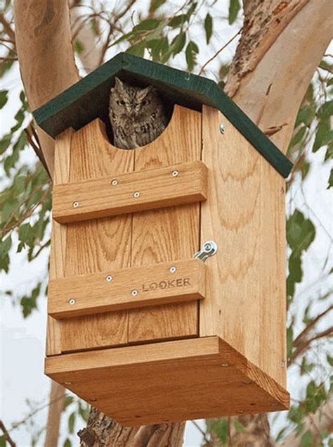 Screech Owl Nesting Box Also for Kestrels & Flickers Wood Bird House ...