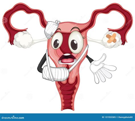 A Damage Ovary on White Background Stock Vector - Illustration of ...