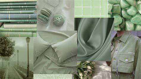 sage green wallpaper | Sage green wallpaper, Mint green wallpaper, Mint green aesthetic