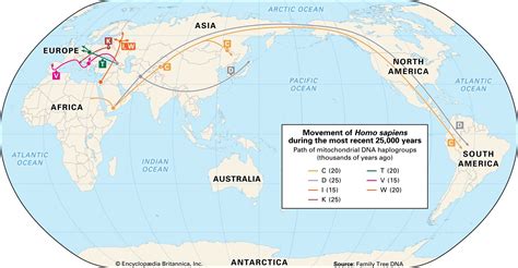 Migration Of People Map