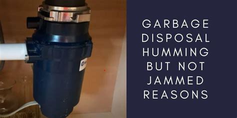 Garbage Disposal Humming But Not Jammed | Quick Solutions - Best Pro ...