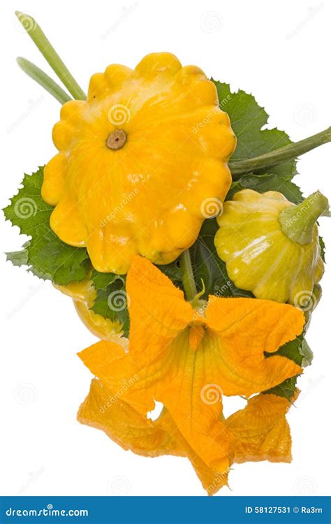 Yellow pattypan squash stock image. Image of food, beauty - 58127531