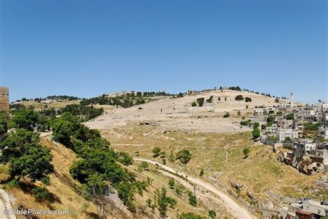 BiblePlaces Blog: Mount of Olives National Park | Mount of olives, Holy ...