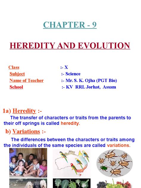 Heredity and Evolution.ppt | Heredity | Genetic Variation
