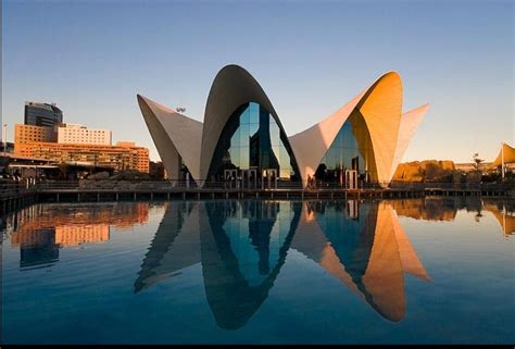 Ramblings: Santiago Calatrava