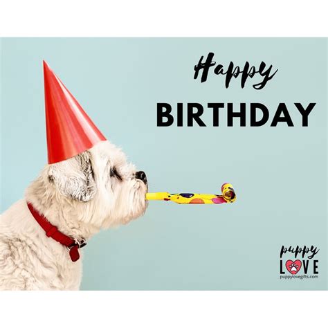 Dog Birthday Card – Puppy Love Gifts Shop