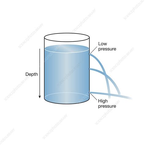 Hydrostatic pressure, illustration - Stock Image - C041/5764 - Science ...