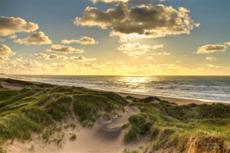 golden north sea beach, Denmark | The large dunes landscapes… | Flickr