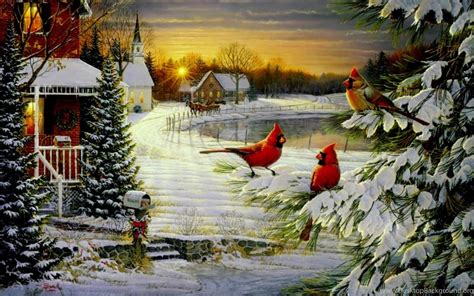 Cardinals Birds Cardinal's Christmas Wallpapers HD Wallpapers ...