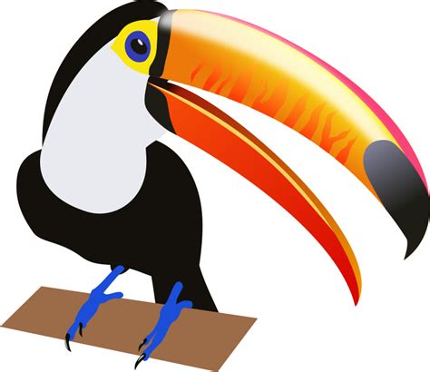 Toucan With Large Beak Clip Art Image - ClipSafari