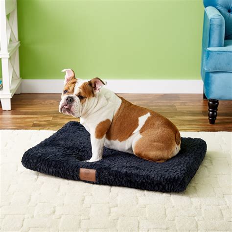 American Kennel Club Orthopedic Pet Crate Mat, Blue Gray, 30-in - Chewy.com