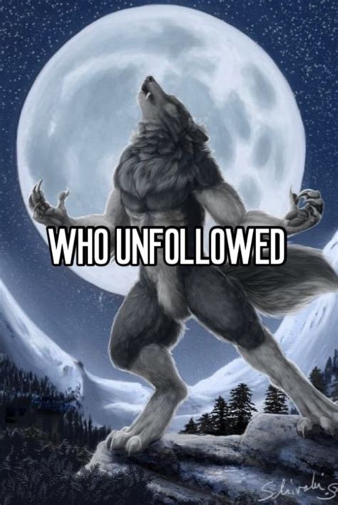 YOURE MINE 🤬🤬☠️☠️💀🔥🔥🐺🔥🐺 | Alpha werewolf, Wolf meme, Funny pictures