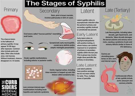 Syphilis Chancre