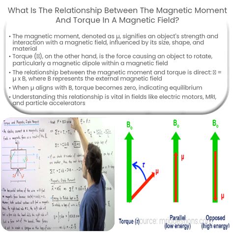 What is the relationship between the magnetic moment and torque in a magnetic field?