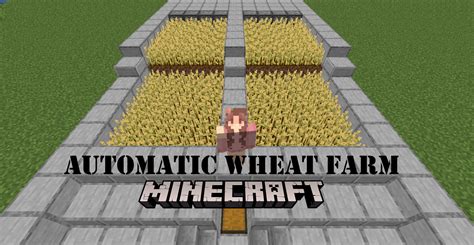 How To Make An Automatic Wheat Farm in Minecraft - Player Assist | Game Guides & Walkthroughs