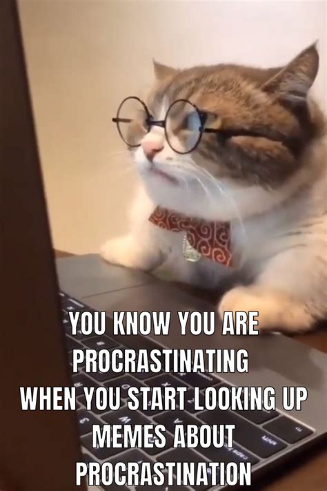 Procrastination meme check out these 20 hilarious procrastination memes – Artofit