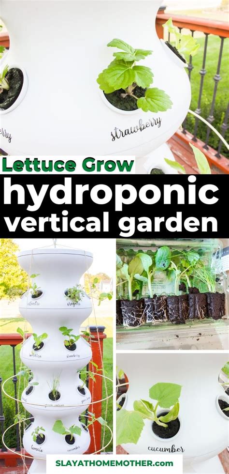 Lettuce Grow FarmStand: Easy Hydroponics Gardening System Review