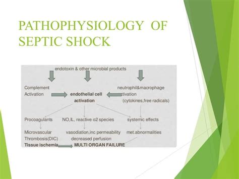 MANAGEMENT OF SHOCK