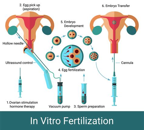 Пин на доске Fertility