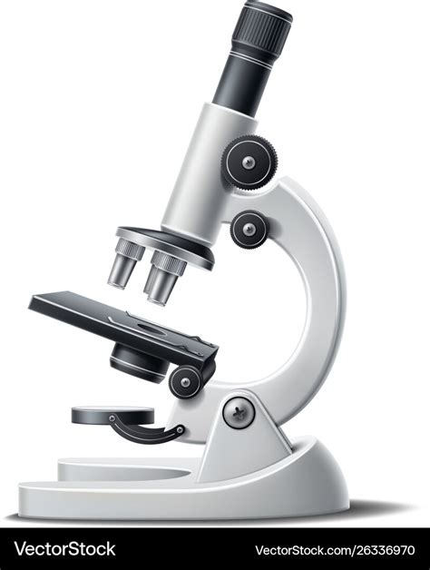 3d microscope science lab magnify tool Royalty Free Vector