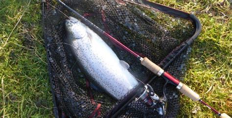 The 6 Best Rods for Trout Fishing in 2021 - By Experts