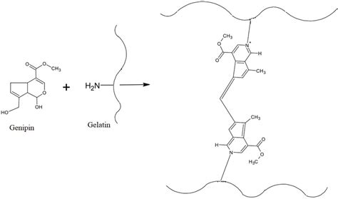 The proposed cross-linking reaction of (a) PVA and glutaraldehyde (b ...