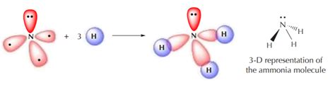 5.5: Orbital Hybridization in Nitrogen and Oxygen - Chemistry LibreTexts