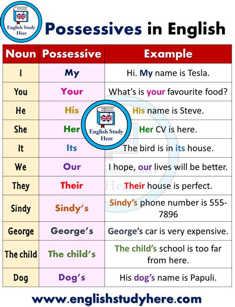 Forming the Possessives - Possessives in English | Good vocabulary words, English writing skills ...