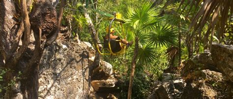 Have you biked through the tree tops? See nature in a new way ...