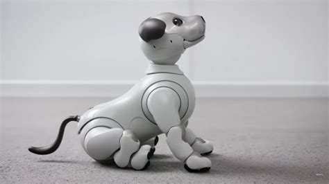 Sony aibo robot dog gets whimsical features in new major update - SlashGear