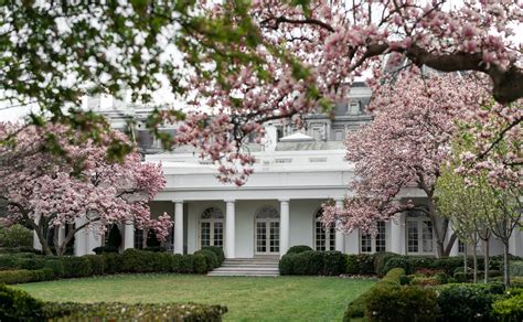 Melania Trump’s Revamped Rose Garden Is Rough Around the Hedges