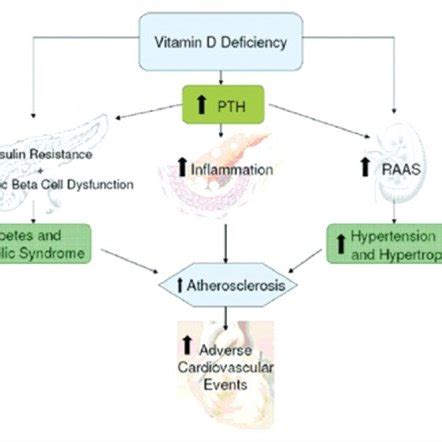 Systemic effects of vitamin D deficiency | Download Scientific Diagram