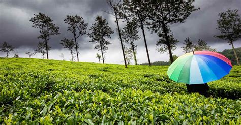 Top 7 Monsoon Holiday Destinations in India