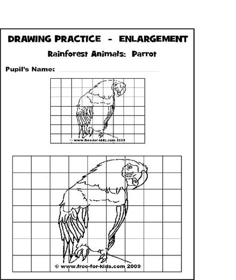 Scale Drawing Worksheet With Answers Pdf