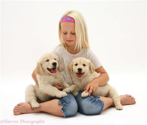 Girl with Golden Retriever pups photo WP10416