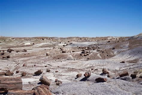 Petrified Forest National Park