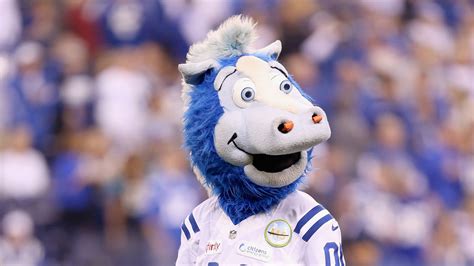 Colts mascot makes parody of Adele's "Hello" at NFL Combine - Stampede Blue