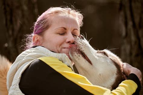 Siberian Husky Dog Kissing Woman with Pink Hair, True Love of Human and Pet, Funny Meet Stock ...