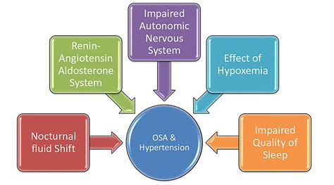 Obstructive Sleep Apnea and Hypertension: A Review of the Relationship and Pathogenic ...