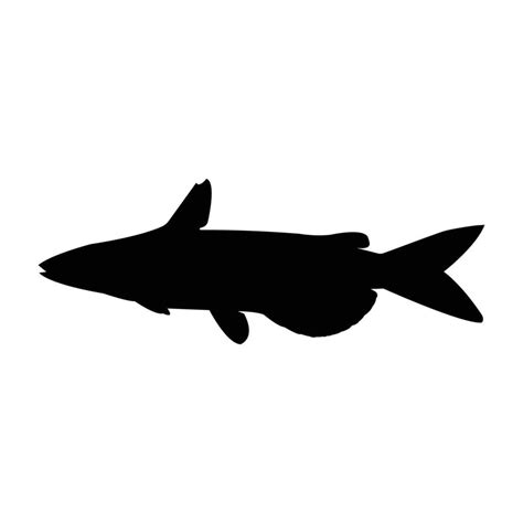 catfish silhouette free vector 24316552 Vector Art at Vecteezy