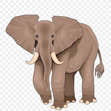 African Elephant Cartoon Illustration, PNG, 1000x1000px, African Elephant, Cartoon, Cuteness ...