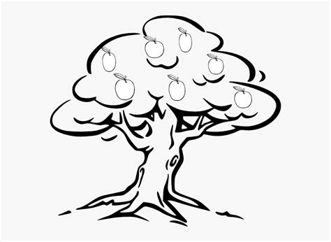 Mango - Tree - Clipart - Tree Black & White, HD Png Download , Transparent Png Image - PNGitem