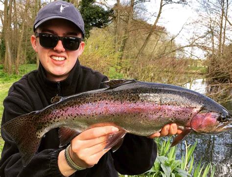 Fishing a lake near me. Manningford trout fishery.