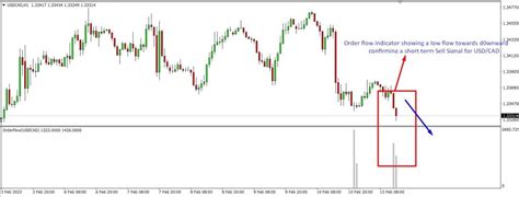 Order Flow Trader Indicator - The Forex Geek