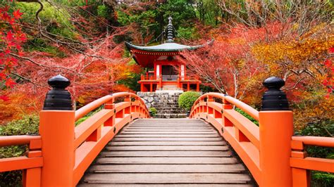 Why November Is The Perfect Month For Budget Travelers To Visit Japan