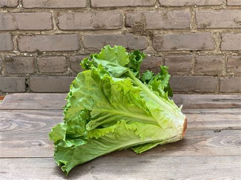 Green Leaf, Lettuce - Ea - Giordano Garden Groceries