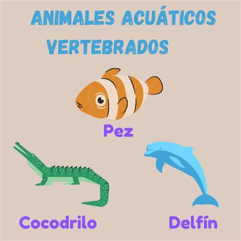 Animales acuáticos vertebrados - rompecabezas en línea