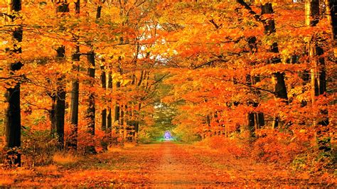 autumn path | Soapin'spiration! | Pinterest | Fall desktop backgrounds ...