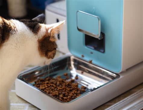 This Smart Pet Feeder Is Pretty Much like a Pet Sitter