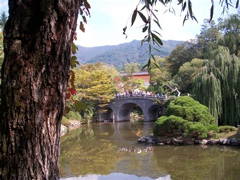 Bulguksa Temple | | Alluring World